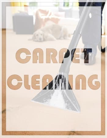 residential carpet cleaning kingwood