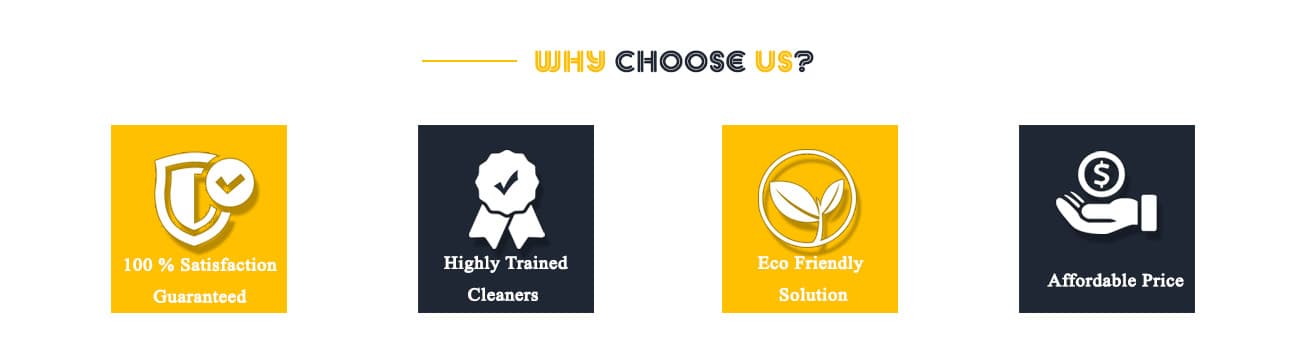 why choose carpet cleaning